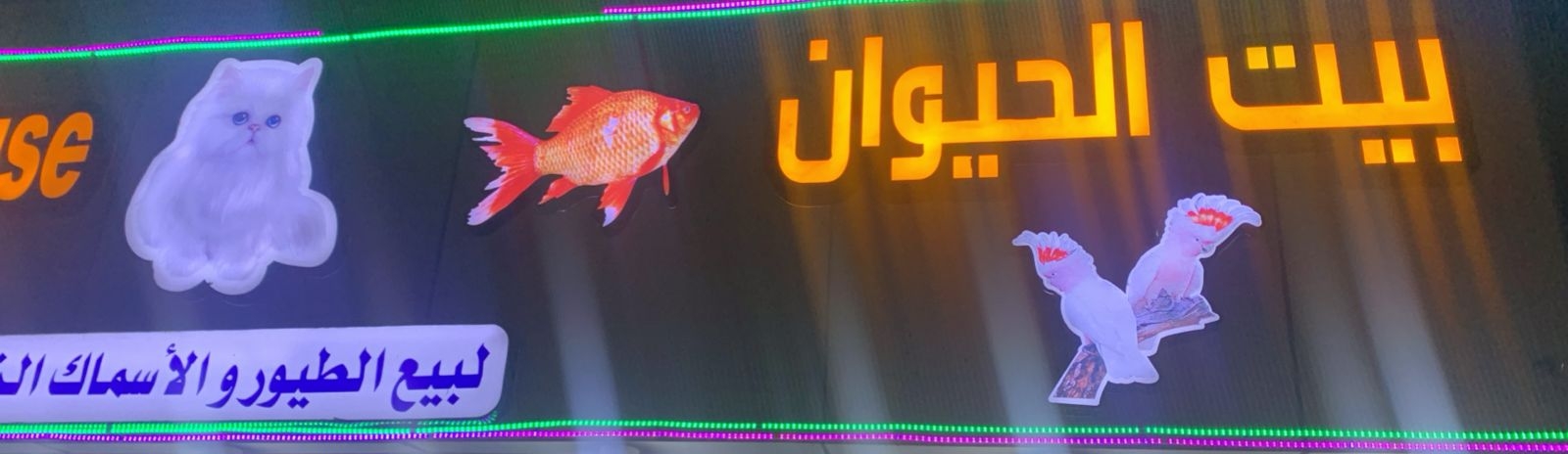 بيت الحيوان لبيع الطيور والأسماك