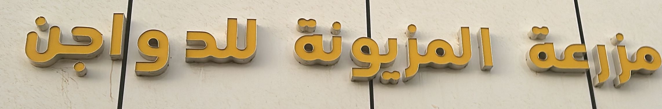 arabic_name